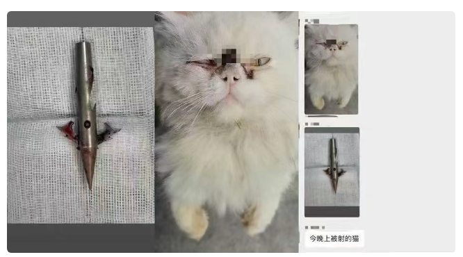 53b8c2ba-45b6-41bb-84f3-1454a8c46d6f.png