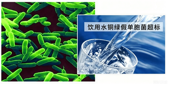a838b0ca-b72b-473f-924d-ee16329f2a56.png