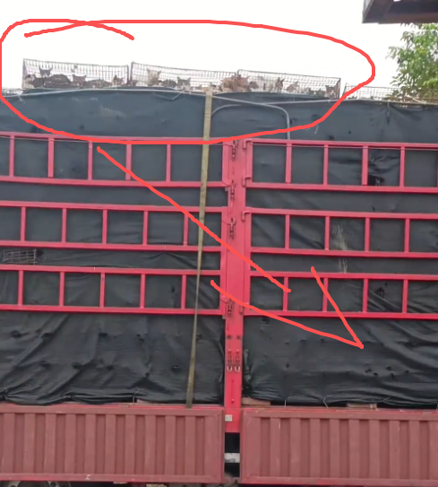 2f882935-7f3c-43aa-aff9-2079c34938c4.png