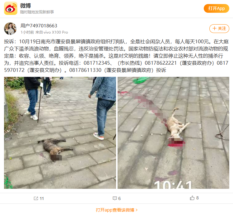cfa34ffe-787a-48cb-b643-cdf1ad8beeac.png