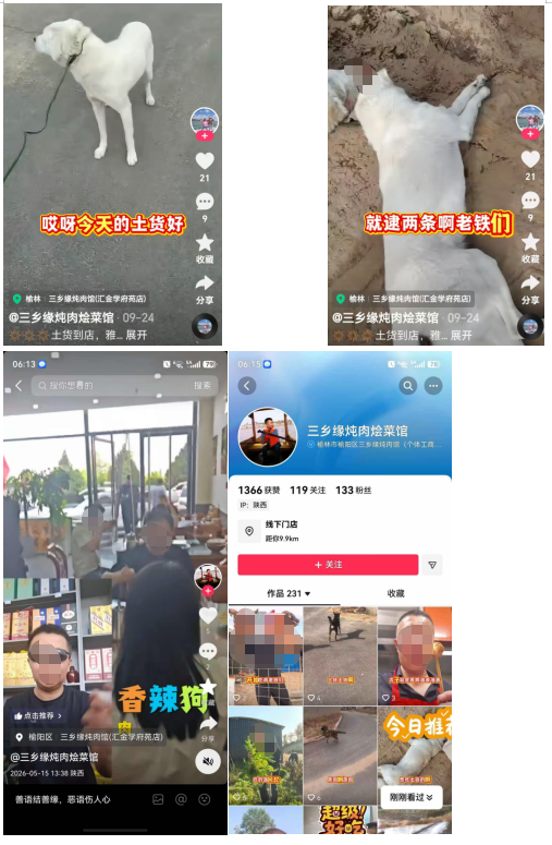 5de84196-2e2f-4a3d-98f9-10dbbd47c7e1.png